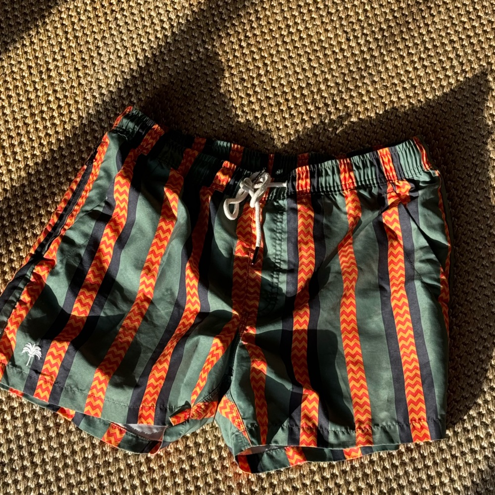 OAS Men's Swim Trunks - Green and Orange Stripes